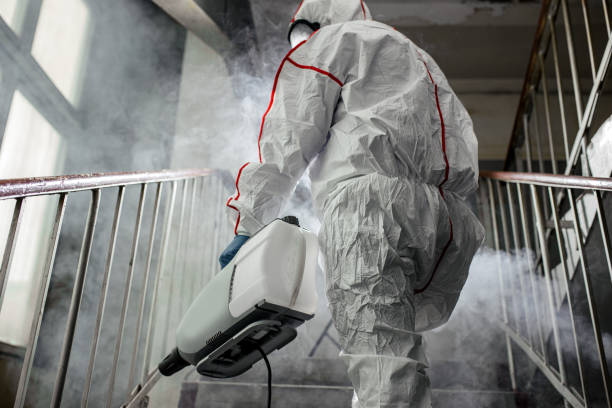 Best Air Quality Testing for Mold Spores  in Olton, TX